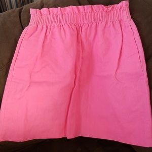 J. Crew Skirt